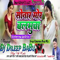 Ek Din Ke khatra Ban Janta Sonar Mor Balamua New Song Hard Vibration Bass Mix dj Dileep BaBu Hi TeCh Up43